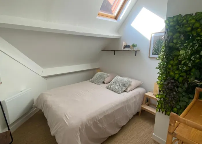 Lapacy Hardelot Neufchâtel-Hardelot