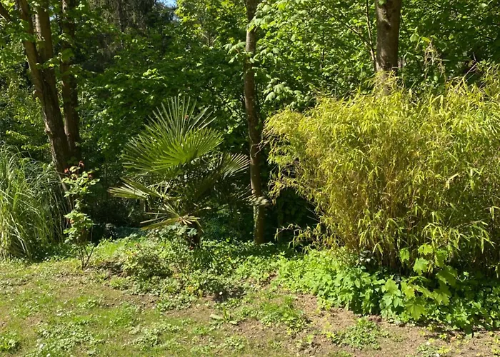 Villa Lapacy Hardelot